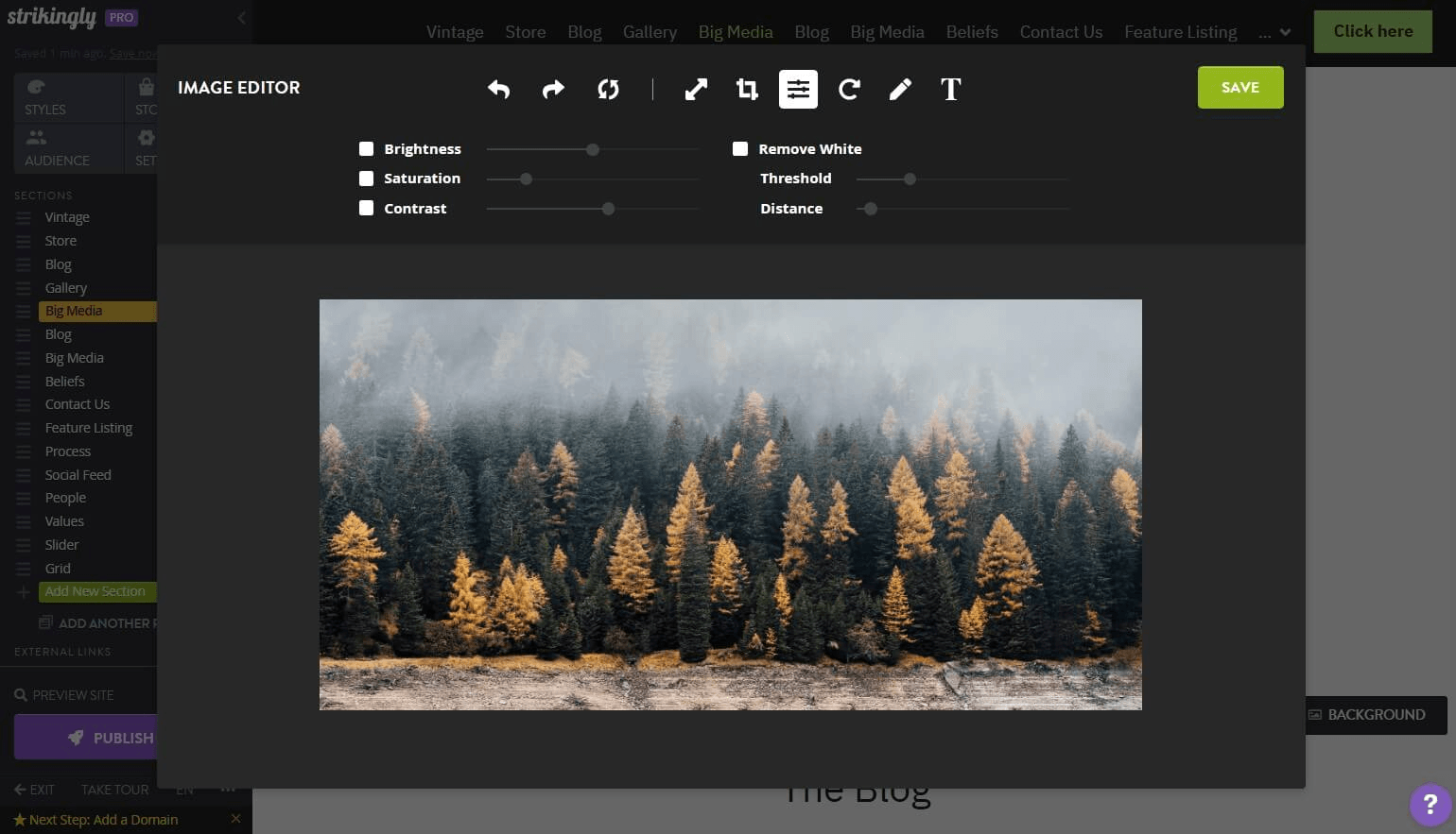 Strikingly Image Editor Section Strikingly Image Editor Section